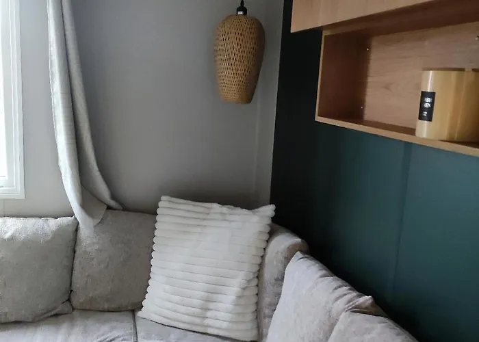 Kemping Mobil-home Dans 4 Etoiles 6 A 8 Personnes 40m2